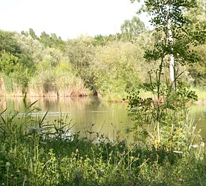 Jardín Botánico y Zoológico de Chisináu