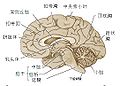 2010年7月16日 (五) 07:40版本的缩略图