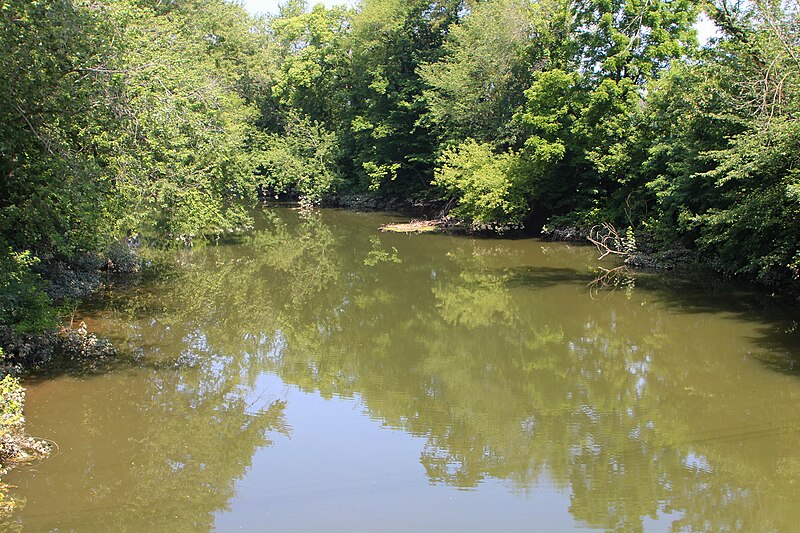 File:Buffalo Creek looking upstream.JPG