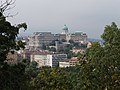 * Nomination Buda Castle on the southern tip of Castle Hill, Budapest. -- Felix Koenig 13:31, 19 September 2013 (UTC) * Promotion  Support nice --Rjcastillo 13:48, 19 September 2013 (UTC)