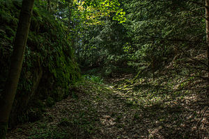 Burgstall Ramberg - Blick in den nordöstlichen Bereich des Ringgrabens. Links der Burgbereich (Juli 2013)