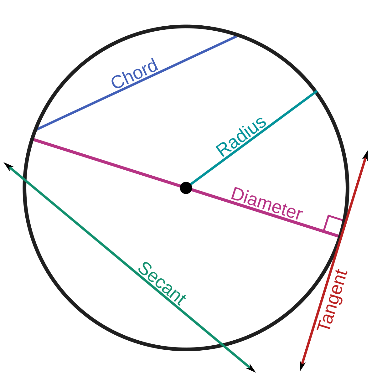 Линия диаметров. Геометрическая окружность. Линии в окружности. Линии в круге радиус диаметр хорда. Сегмент окружности это в геометрии.