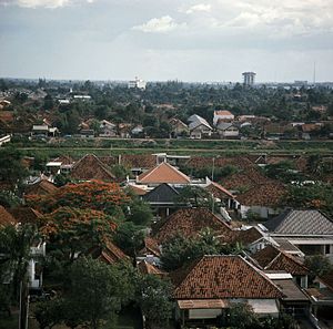 Menteng, Jakarta Pusat: Sejarah, Wilayah administrasi, Demografi