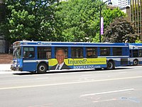 Connecticut Transit Fleet Everybodywiki Bios Wiki