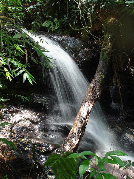 File:Cachoeira Caaguaçu.jpg