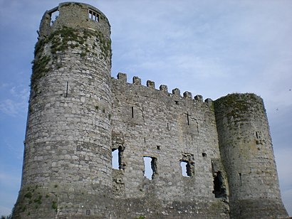How to get to Carlow Castle with public transit - About the place
