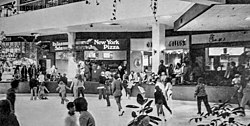 Carolina Circle Mall skating rink 1978.jpg