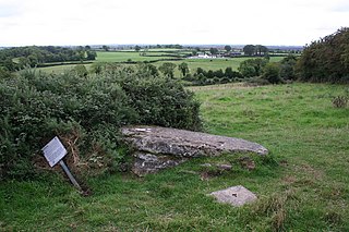 Clonfinlough Stone Rock art in County Offaly, Ireland