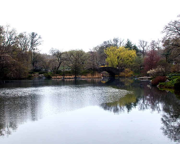 File:CentralPark02a.jpg