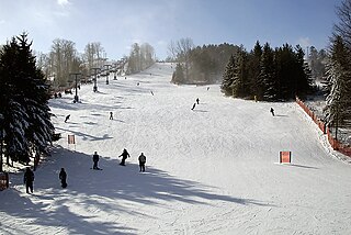 <span class="mw-page-title-main">Chicopee Ski Club</span> Recreation club in Kitchener, Ontario, Canada