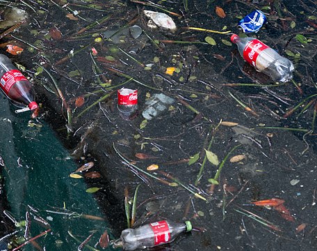 Coca-Cola bottles as pollution in water