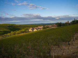 Habiter à Courgis