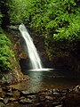 Courthouse Falls, Pisgah National Forest, NC.