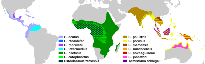 Distribution of crocodiles Crocodylidae Distribution.png