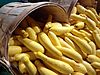 Cucurbita pepo Yellow Squash 3.jpg