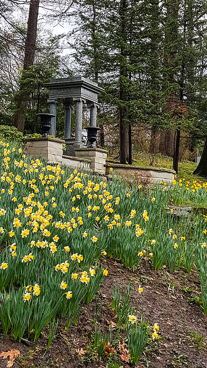 How to get to Lakeview Cemetery with public transit - About the place