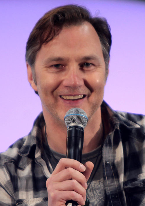 Image: David Morrissey May 2015