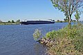 The river Maas near Afferden