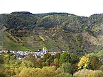 Der Bremmer Calmont im Landschaftsschutzgebiet Moselgebiet von Schweich bis Koblenz (4).jpg