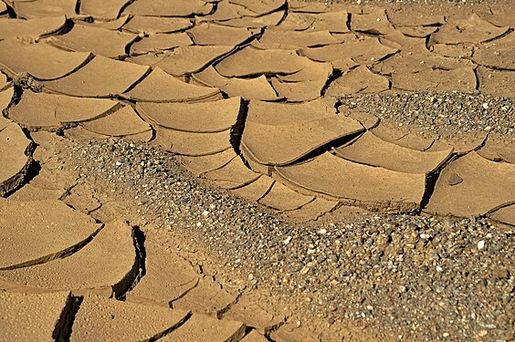 Desiccation cracks at Calamita Peninsula, Italy