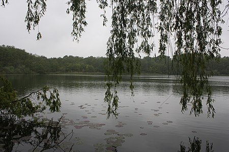 Drachensee in Kiel