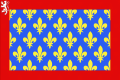 Vlag van Sarthe (72)