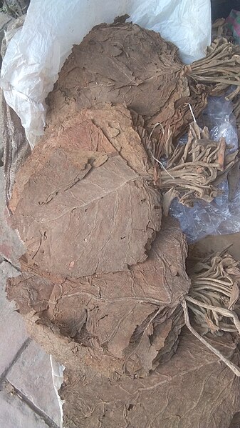 File:Dried Tobacco Leaves.jpg