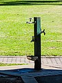 osmwiki:File:Drinking fountain with dog drinking bowl City Botanic Gardens Brisbane P1380430.jpg