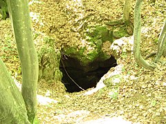 La grotte de l'Amitié classée au Registre national des monuments immeubles d'Ukraine[6] et RAMSAR no 2396.