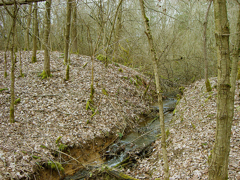 File:Dudenrother Schanze Wasseraustritt Sueden.jpg