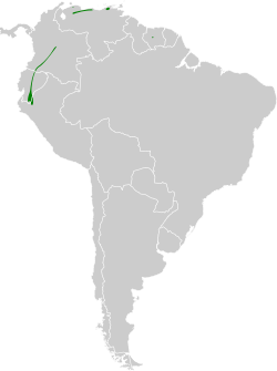 Distribución geográfica del batarito albilistado.
