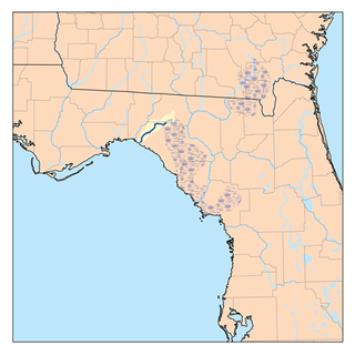 Econfina River River in Florida, United States