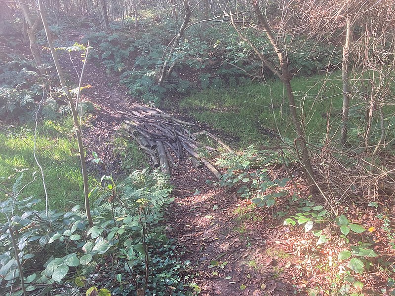 File:Elim Landgoed “Het Rechtuit” “Bossen Hollandsche veld” “Drents Landschap 23 52 41 081000.jpeg