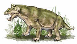 Estemmenosuchus uralensis.jpg