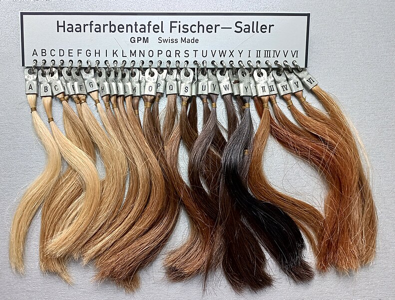 File:Fischer-Saller scale of hair color.jpg