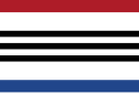 Zaamslag - Drapeau