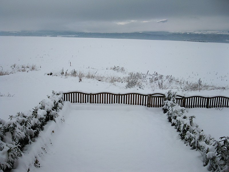 File:Fleurs de Lys 43 - panoramio.jpg