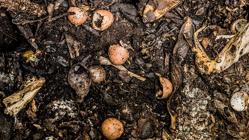 File:Food-scraps-compost.jpg