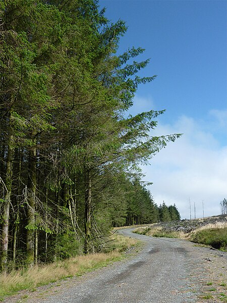 File:Forestry road in Coed Nantyrhwch, Powys - geograph.org.uk - 3682123.jpg