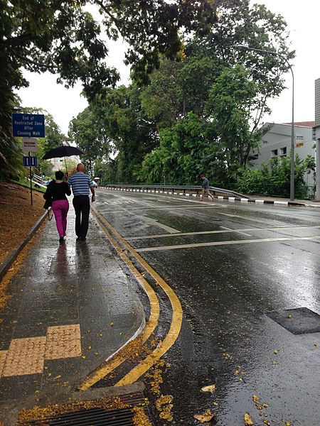 450px-Fort_Canning_Road,_Singapore,_on_a_rainy_day_-_20140316.jpg (450×600)