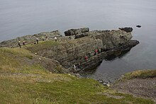 Global Stratotype Section and Point (GSSP) des Kambrium, Terreneuvium und Fortunium im Fortune Head Ecological Reserve, Newfoundland, Kanada