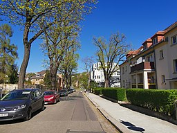 Fuchsstraße Dresden 2020-04-19 2