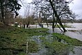 Die Swinow überschwemmt bei Hochwasser die Stadtwiesen.