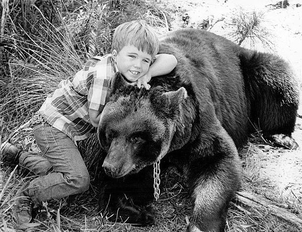 Clint Howard as "Mark Wedloe" with Bruno the Bear as "Ben" in 1967