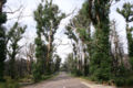 Grampians National Park