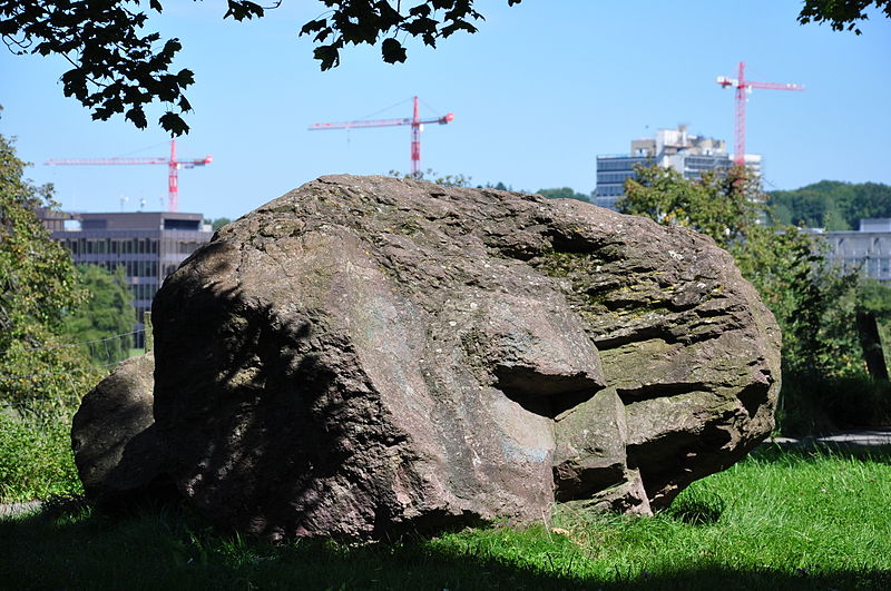 File:Hönggerberg - Findlingsgarten Kappenbühl 2010-08-22 15-32-32.JPG