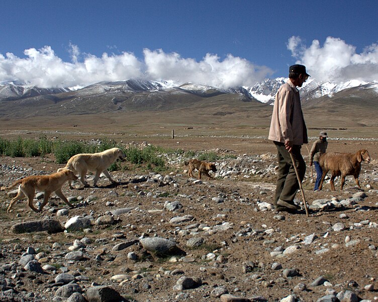 File:Herder on Karakoram Highway.jpg