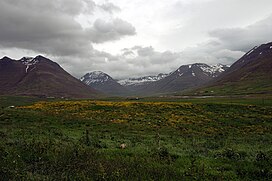 a lush valley floor with snow-capped mountains in the distance