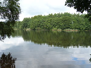 Hohenlockstedt Lohmühlenteich August-2010 SL275257.JPG