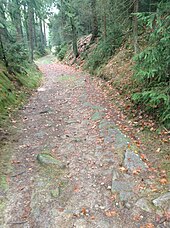 Hohlweg am Nordabhang des Steinwalds, man kann noch einen Teil der Wegbefestigung erkennen